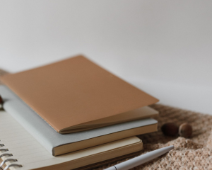 Fall 2026 - The Building Blocks of Writing: Crafting Compelling Prose