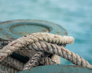 Anchored: Building a God-Centered Identity Through Four Women of Faith