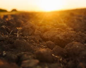 Death, Dying and Grief in Islam